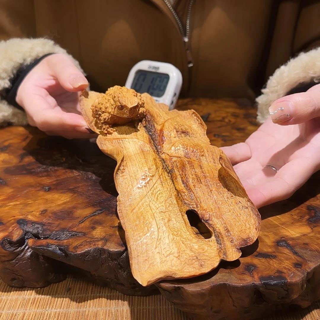 柏木（崖柏）漫**步太行集团