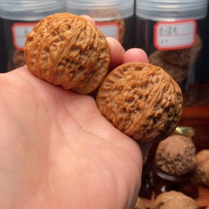 核桃麻核桃白狮子43