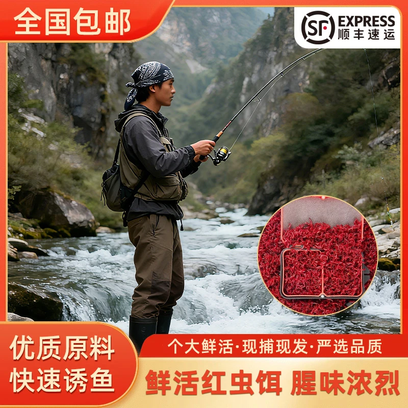 新号直播福利 顺丰中通包邮鲜活鱼饵诱鱼红虫饵料宠物鱼营养鱼食