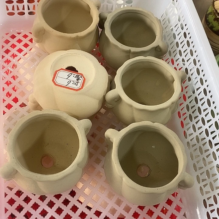 花盆抢购清货马上开始