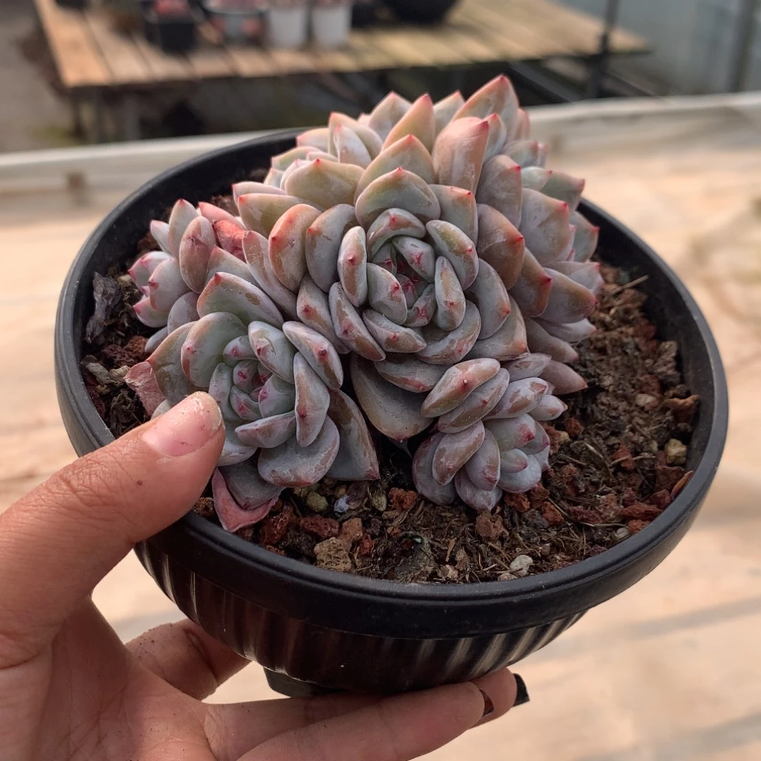 哈哈哈哈哈哈哈36