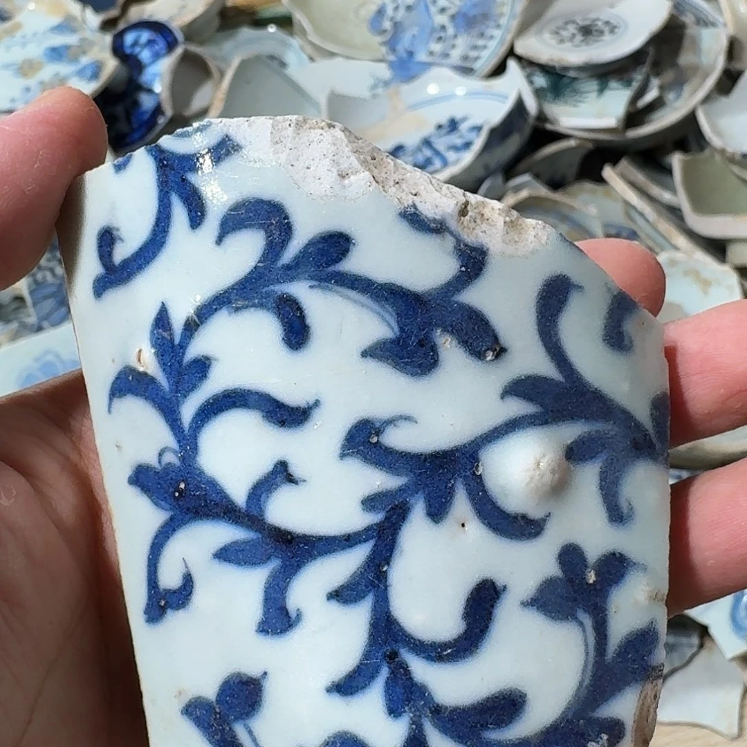 l***r瓷片瓷片标本，顺丰包邮