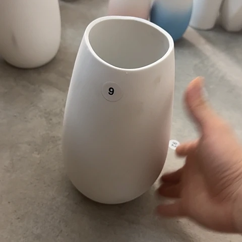 「***子瓷片瑕疵24厘米9号一个磨砂