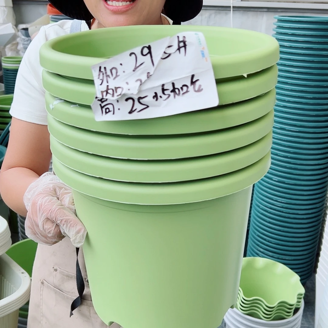 四季盆5#果绿色6个无托