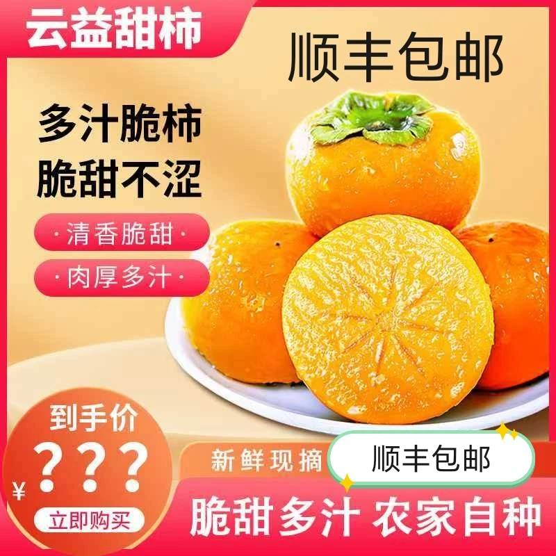 【文刚专属】云南绿色种植园新鲜现摘甜脆柿子健康自然脱涩甜脆柿子