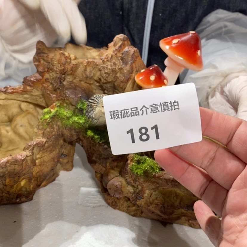 【闪购商品】摆件?****葱陶瓷摆件瑕疵特卖