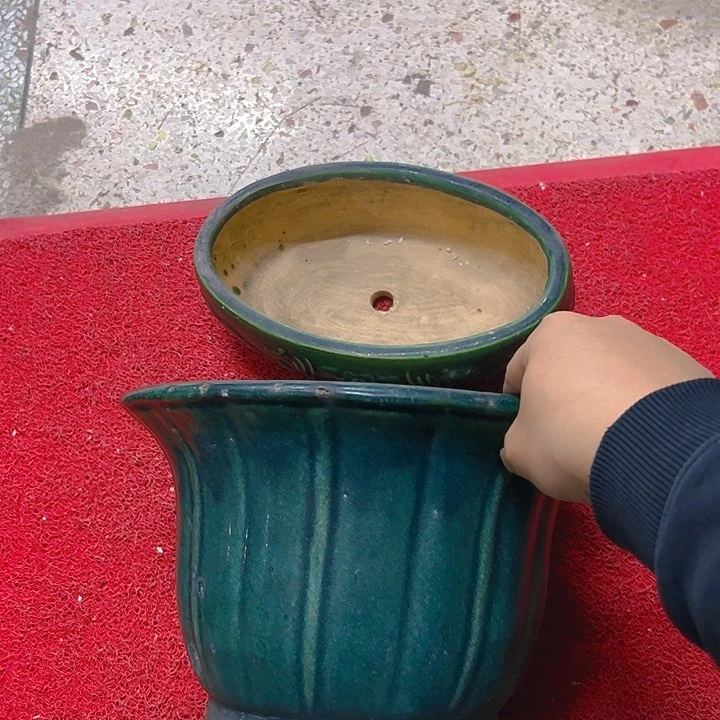 红陶?*。。。。。。。。。。。。