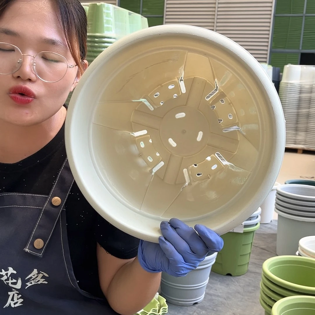 青山盆6#米白色5个无托