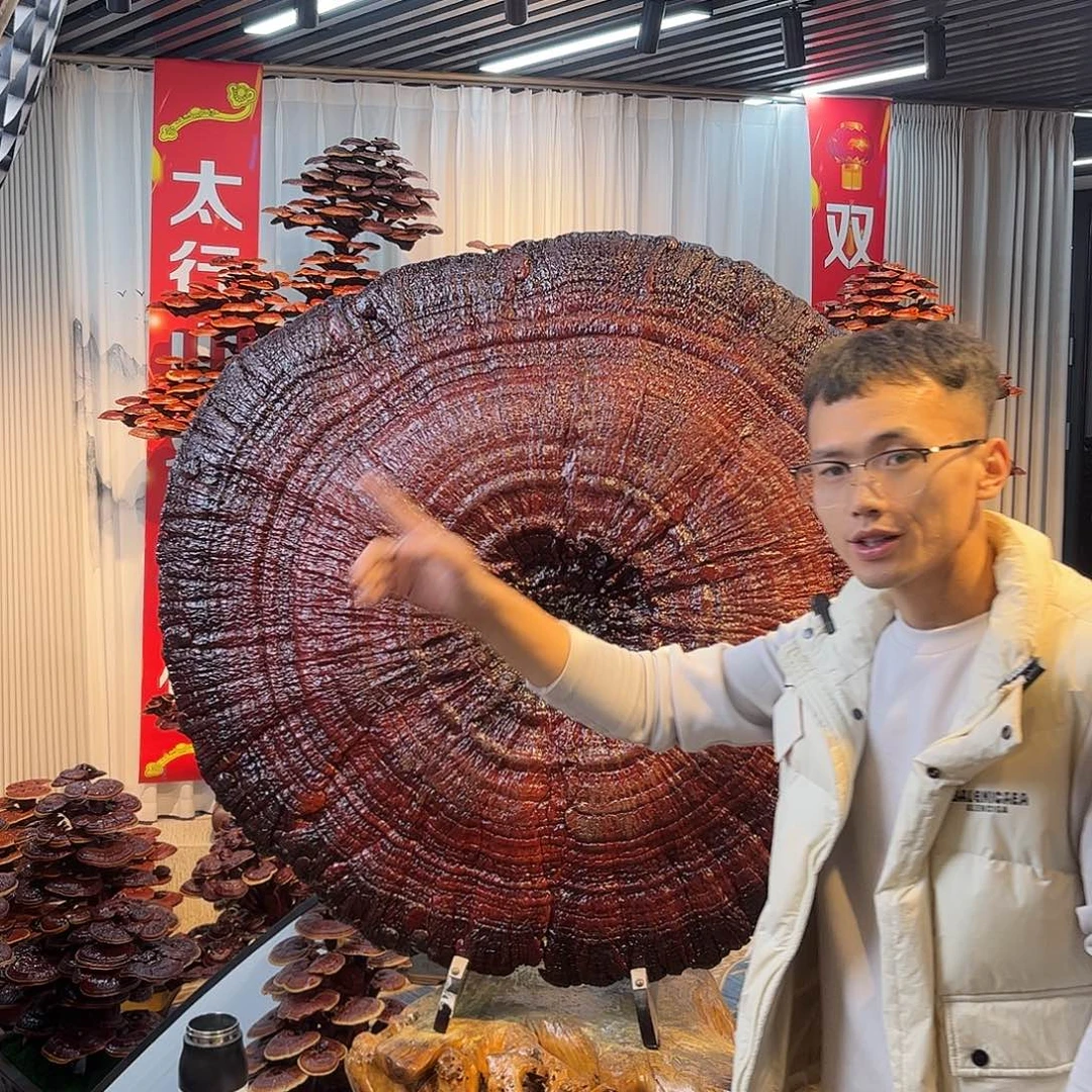 无花朵888888888888