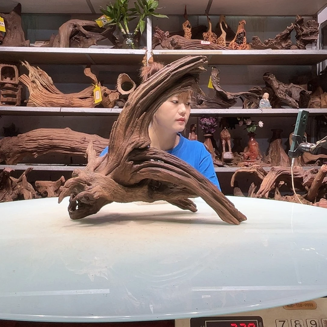 蓝***天紫砂紫柚不包损不包秒沉2155