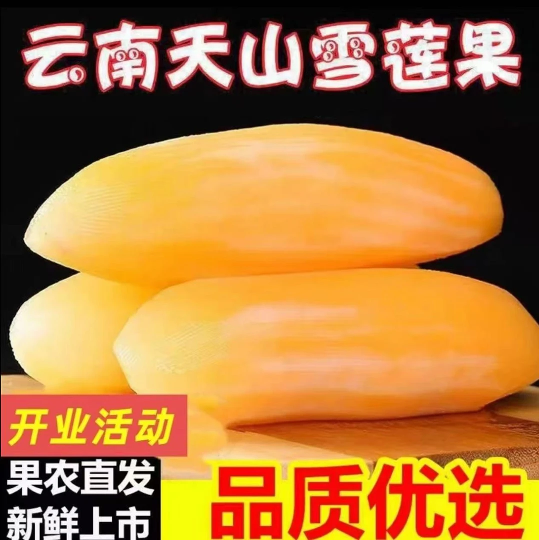 云南天山雪莲果应季新鲜现挖清甜脆爽多汁黄心水果