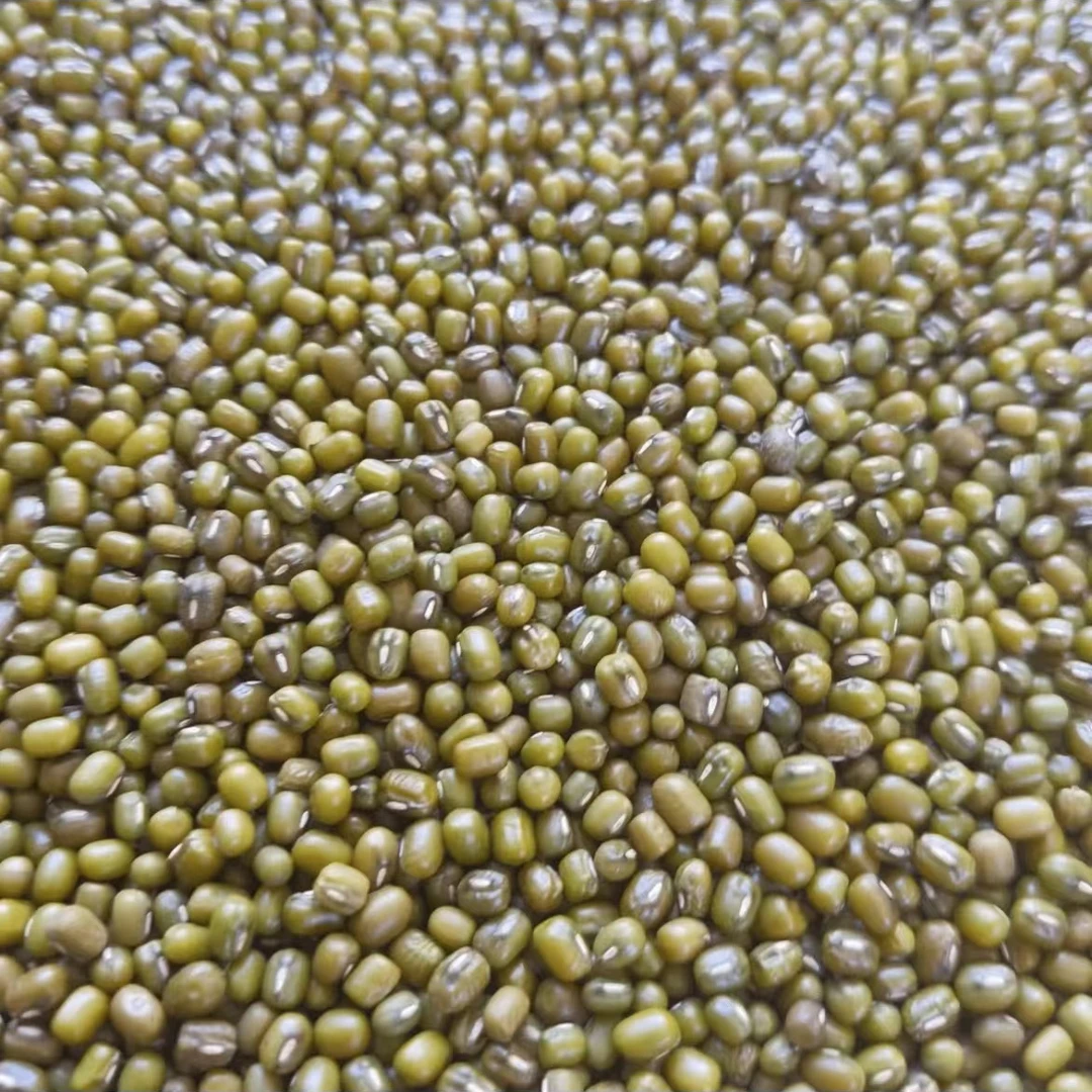 云南高山高海拔冰皮绿豆DS