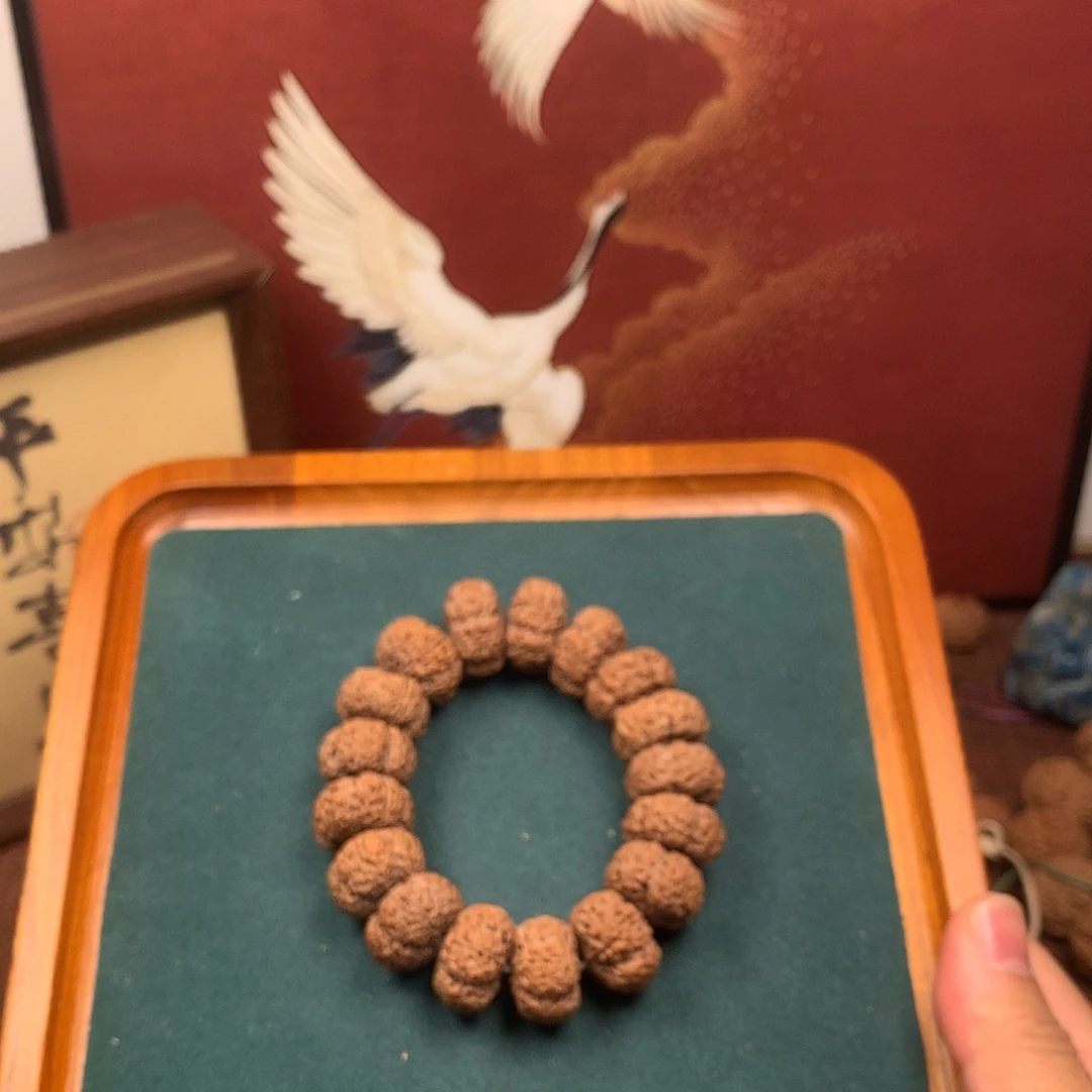 手串金刚菩提5、菠萝蜜21mm