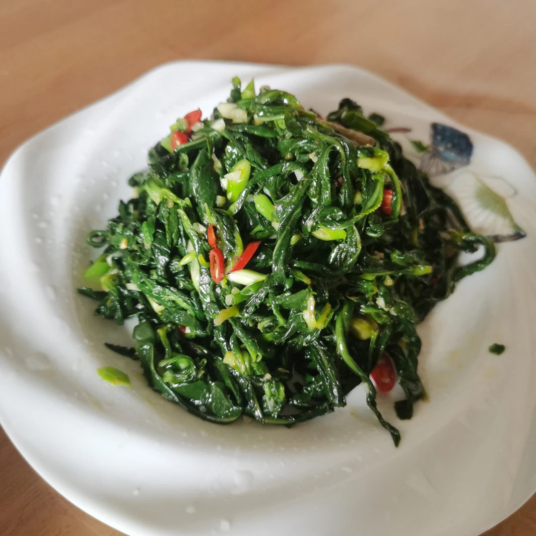 甘肃苦苦菜灰灰菜苜蓿菜野菜时令菜野菜农家野菜凉菜凉拌菜