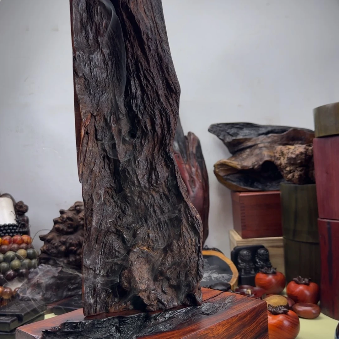 大果紫檀（缅甸花梨）3****图