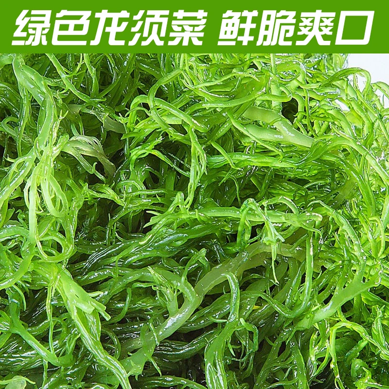 新鲜盐渍龙须菜新鲜天然海草长寿菜凉拌海藻菜海草新鲜