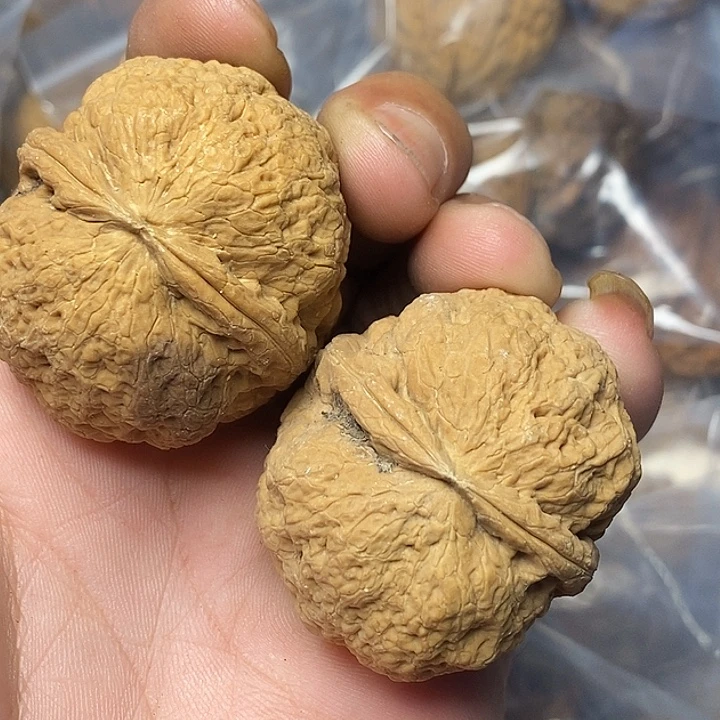 把件文玩核桃云南铁核桃74号43mm
