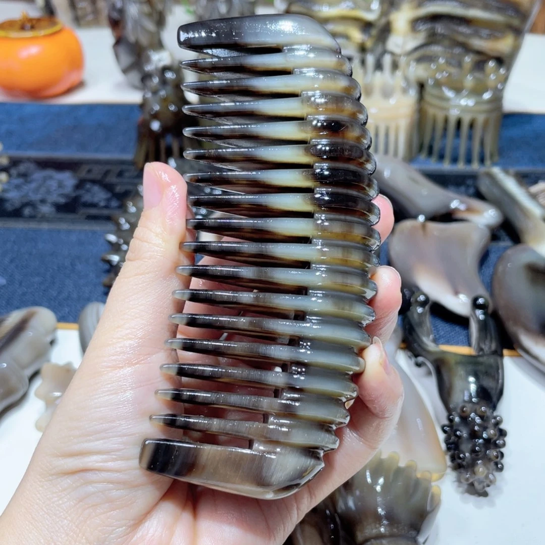 黑金刚毛毛虫龙骨梳