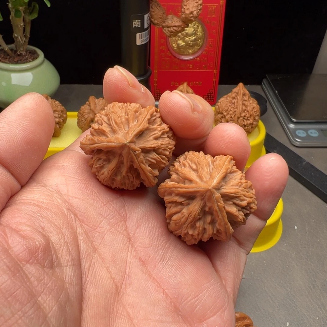 文玩核桃把件文山正奔34