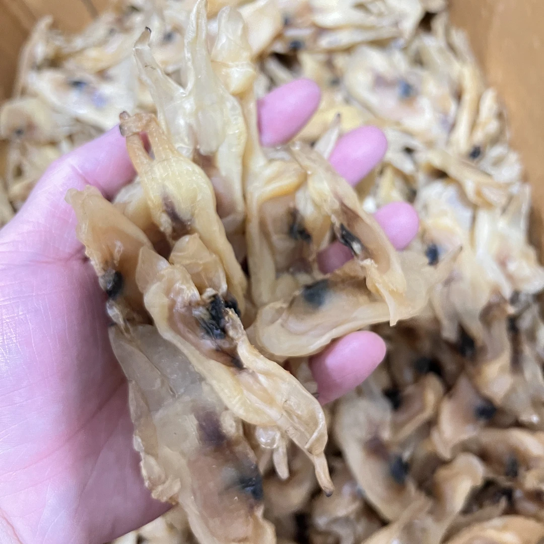 福建特产精品大条蛏干净含量为500g/袋