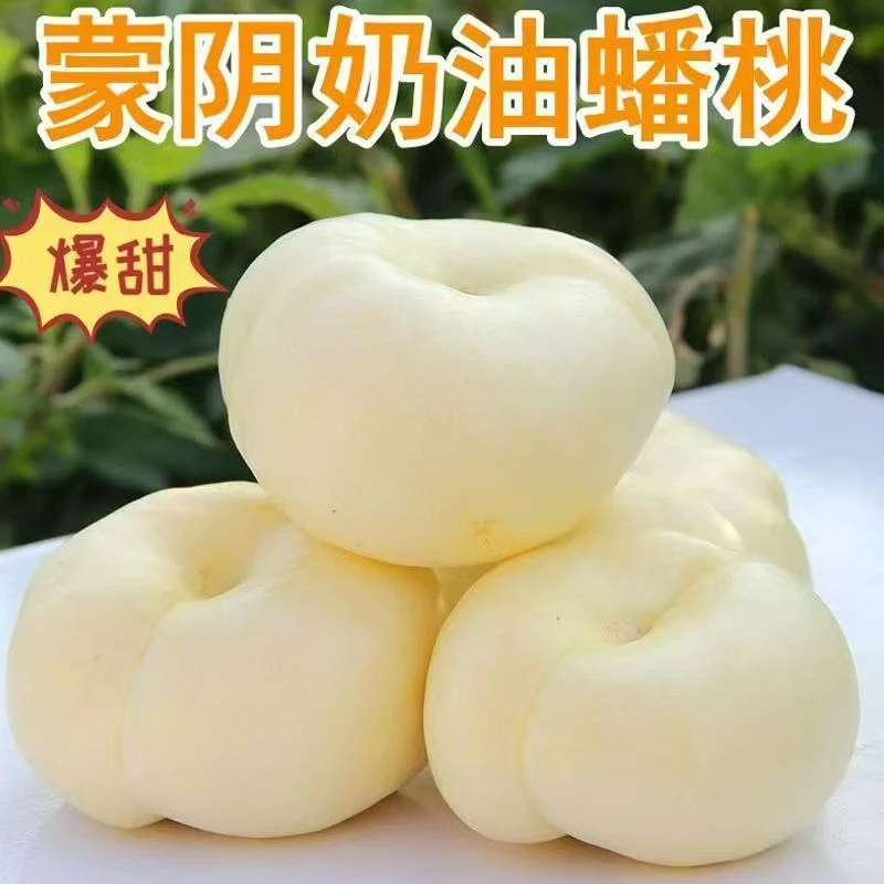 奶油蟠桃新鲜水果蒙阴当季白玉蟠桃桃子扁油蟠桃现摘蜜桃夏日尝鲜