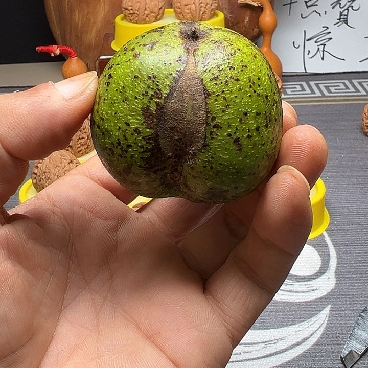 吊坠桃核白狮子青皮