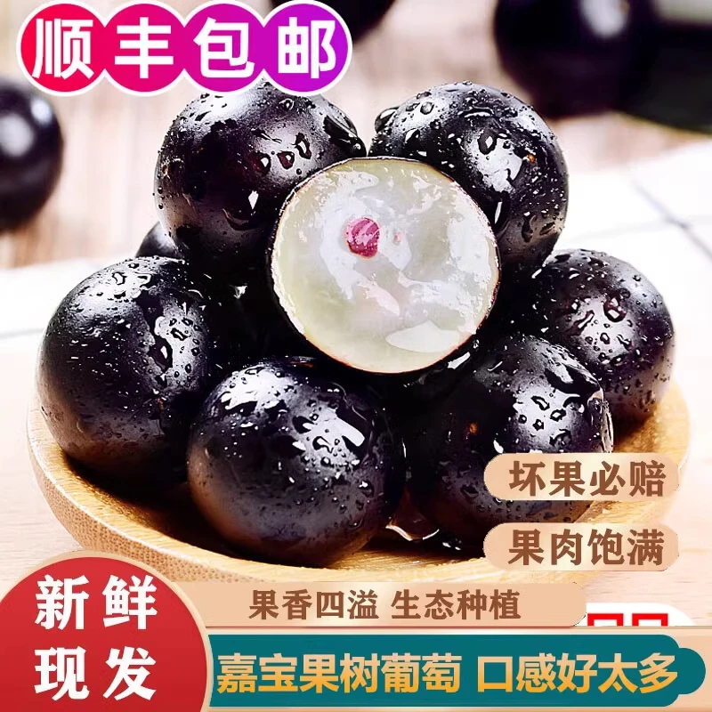 顺丰空运 嘉宝果鲜果树葡萄高端品种新鲜水果孕妇现摘整箱包邮