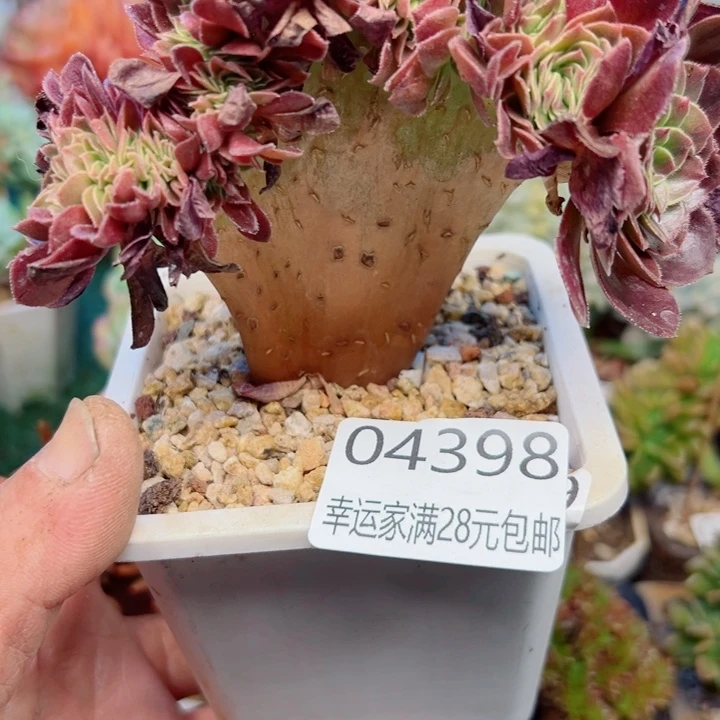 幸运的是我还没遇到