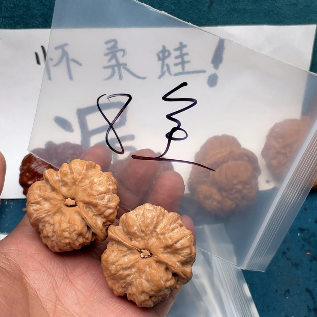 核桃753753357753735537573375