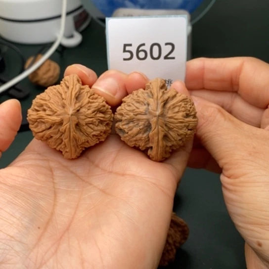 把件文玩核桃39南疆石5602