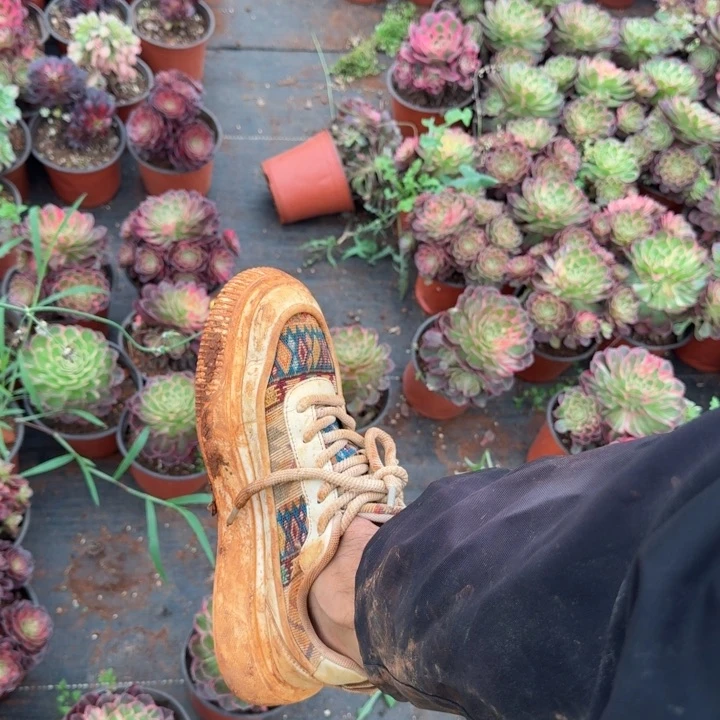 寄养空包链接啊啊