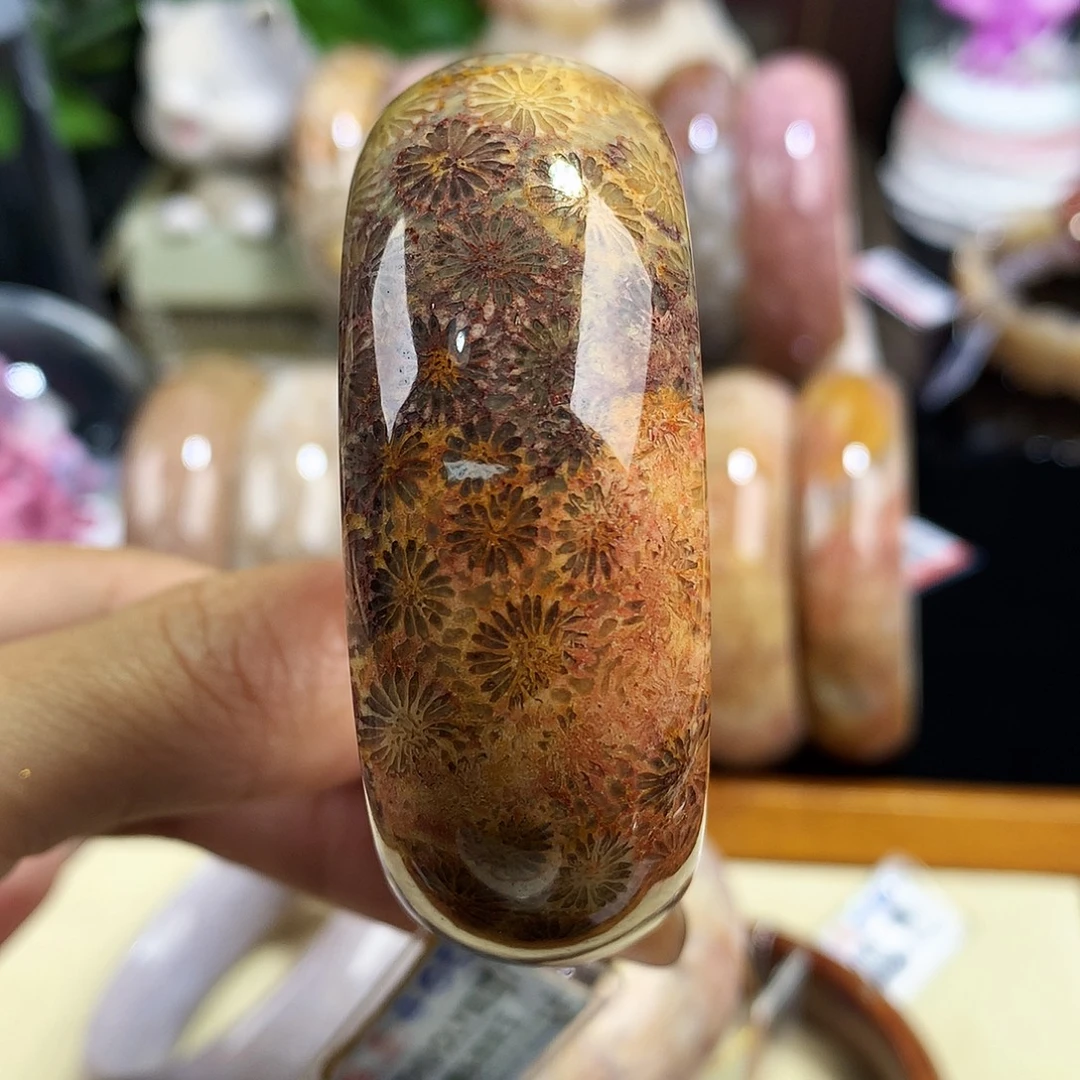 硅化珊瑚（珊瑚玉）未镶嵌吊坠(赠链)64号48.9圈口