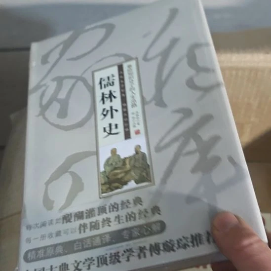 儒林外史精装塑封，白话通译本。