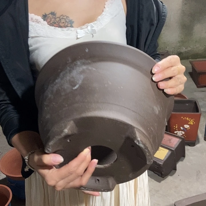 29花盆花盆花盆花盆花盆花盆花盆