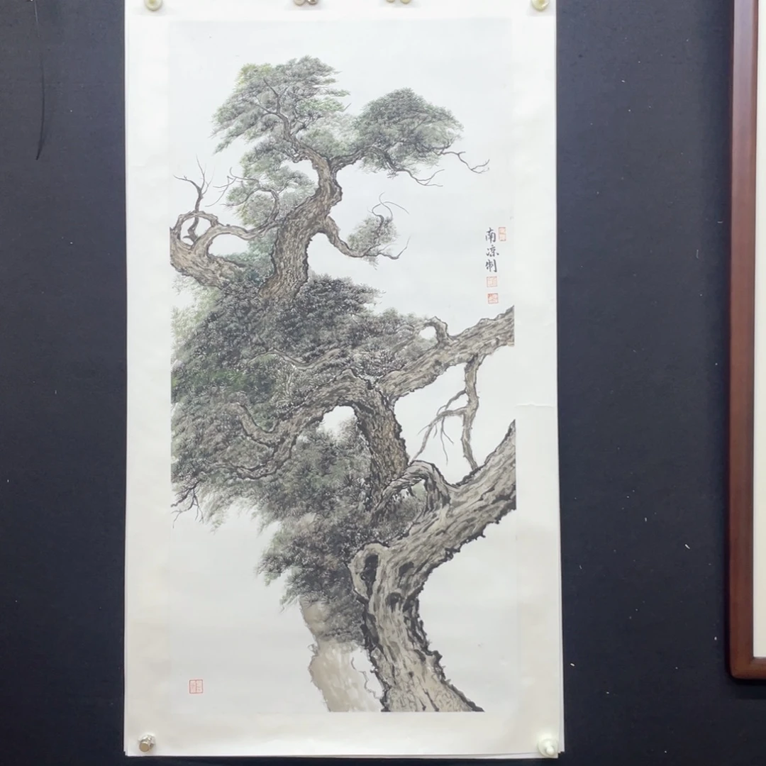 国画手绘国画，精品古松