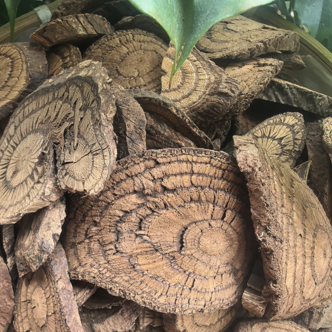 大山土特产 ~ 蜘蛛藤