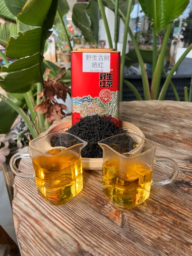 金崖子野生古树晒红2025年