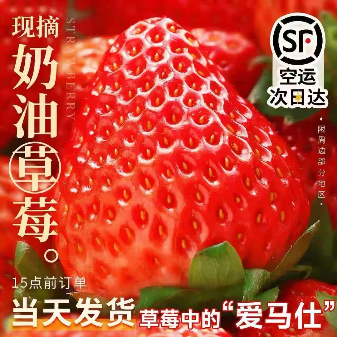【山东奶油草莓】特大果香甜草莓2斤黑金礼盒装【顺丰包邮】
