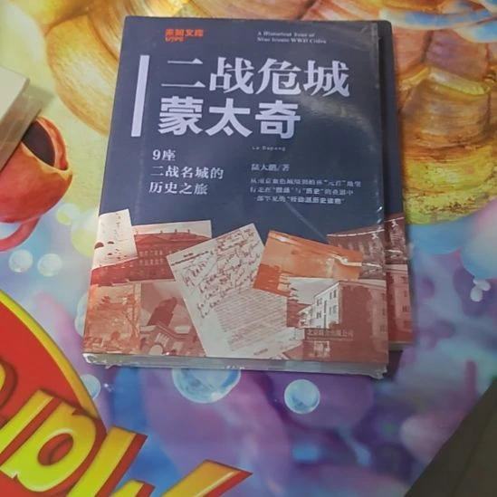 二战危城梦太奇平装库存书