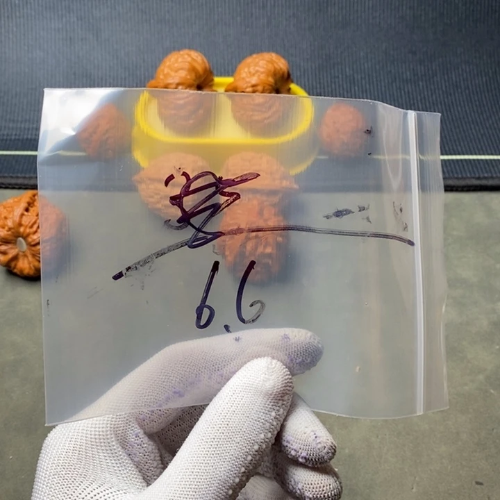 0***6核桃等经济林果地