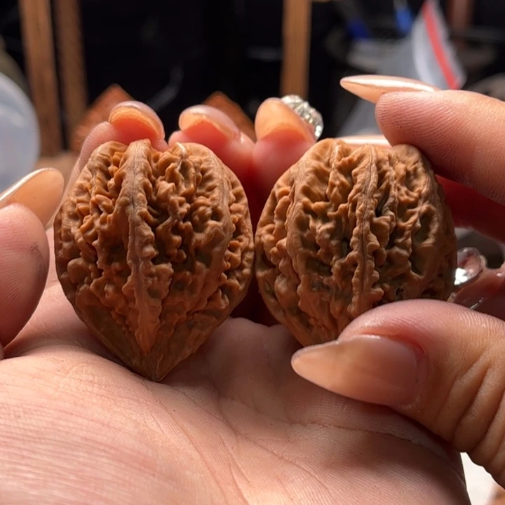 文玩核桃把件楸大胖71