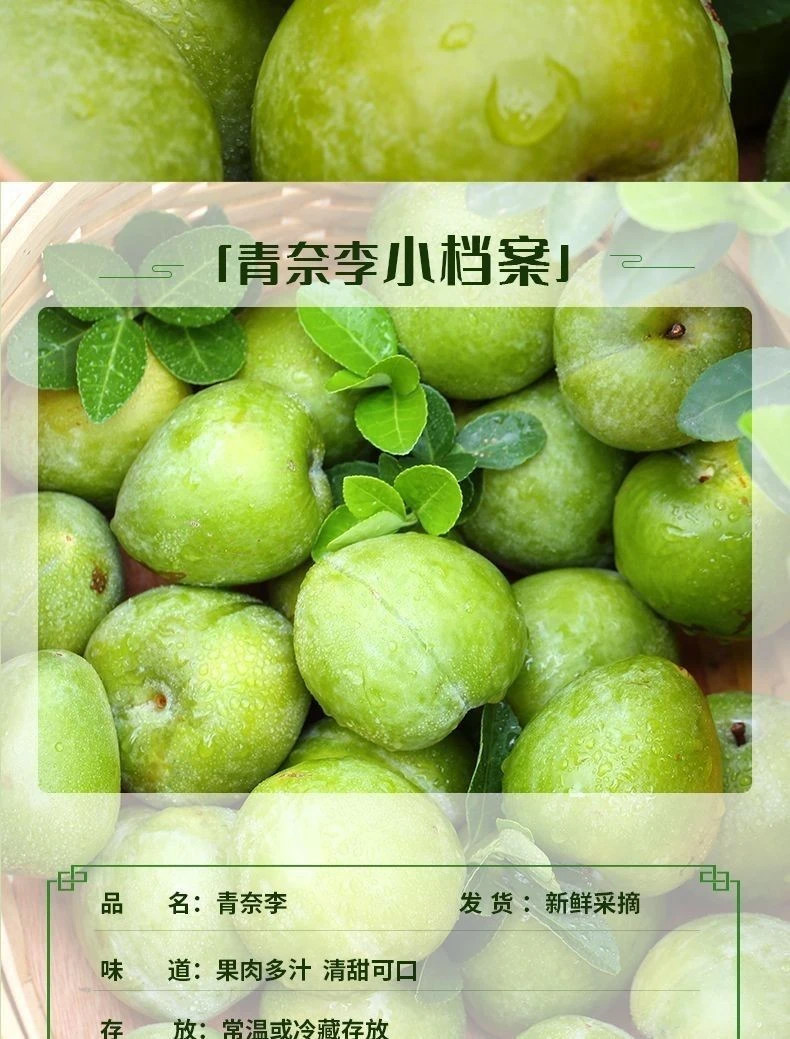 青奈李当季新鲜酸甜可口脱骨爽口孕妇水果脆甜多汁