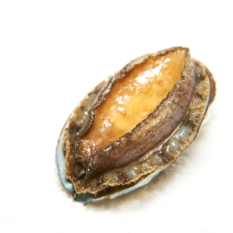 (鲜活) 鲍鱼（购物车里选规格）