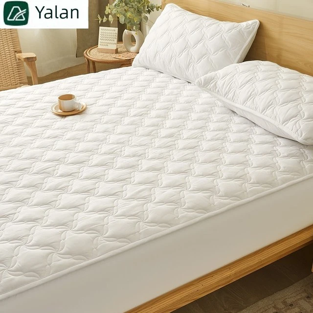 亚兰大豆绗缝防水床单单张床罩2024新款席梦思床垫保护罩防尘床罩