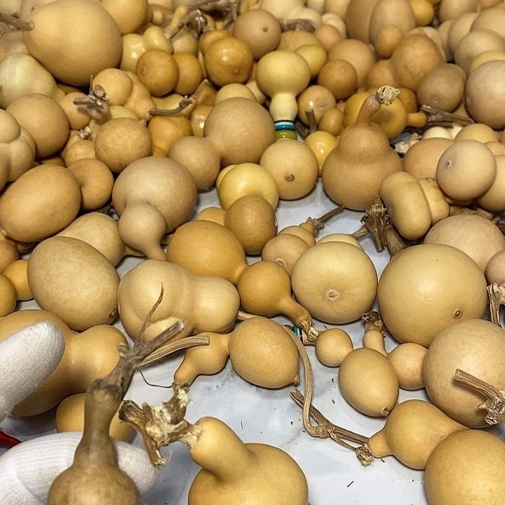 孙****香精品葫芦手把葫芦43