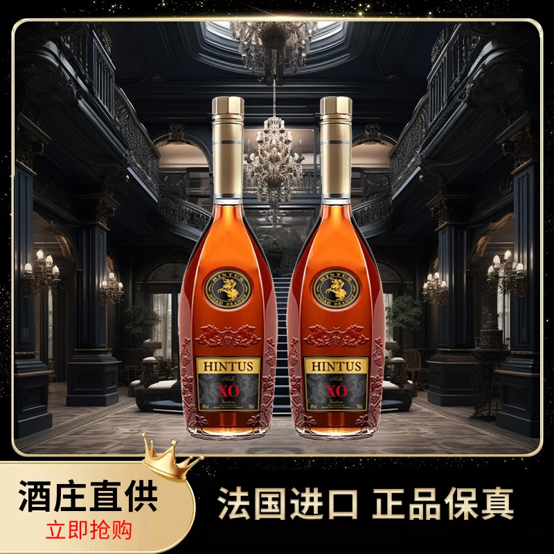 法国进口洋酒诺亚克XO白兰地2支装TY1