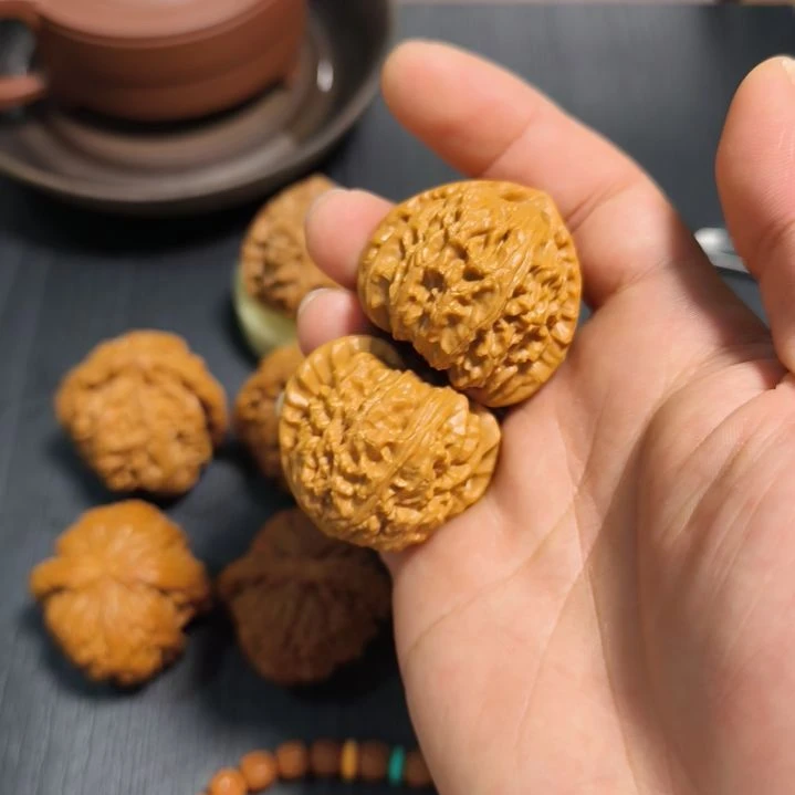 把件文玩核桃39白狮子顺丰到付不包邮