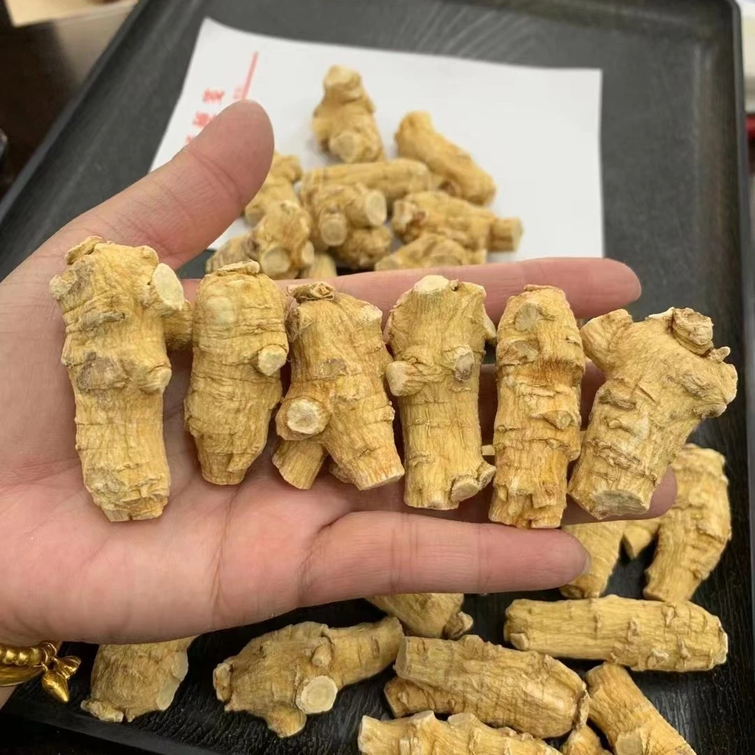 西洋参圆粒精选粒头