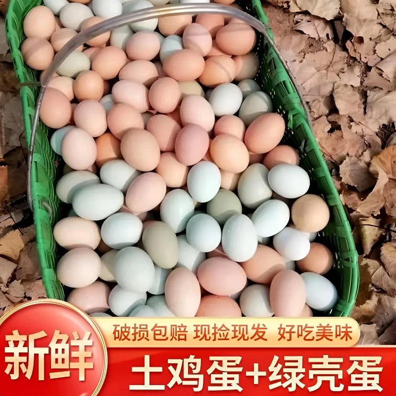 【40枚粉壳+10枚绿壳】土鸡蛋笨鸡蛋现捡现发 共50枚土鸡蛋混合装