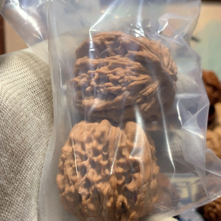 六***言哈哈哈哈哈哈哈哈哈哈哈